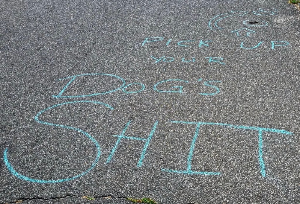 Angry Homeowner Gets Petty Over Dog&nbsp;Poop