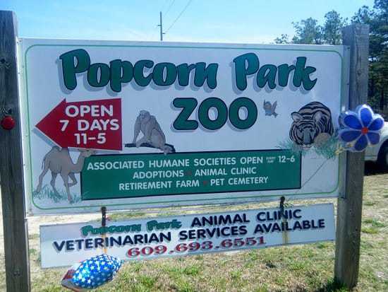 Popcorn Park Zoo To No Longer Allow Guests To Feed Animals&nbsp;Popcorn