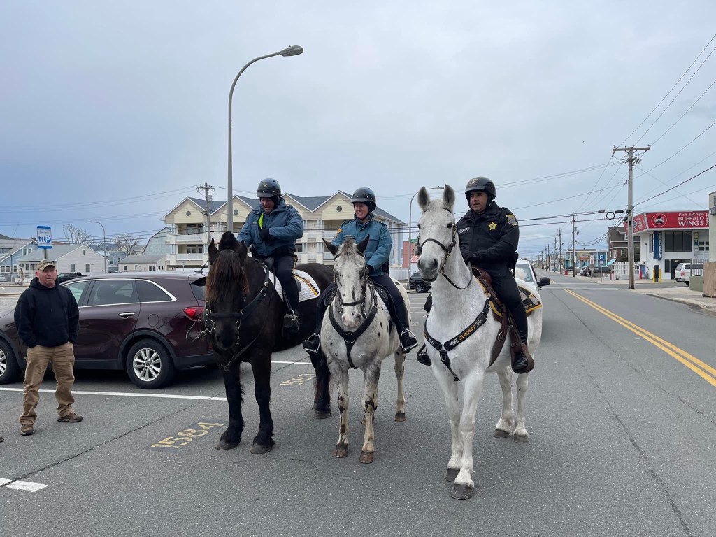 Ocean County Sheriff’s Office Assists in Polar Bear&nbsp;Plunge