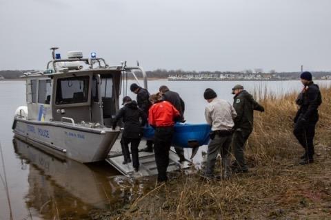 Dolphin Washes Up In Poor Condition After Sonar&nbsp;Testing