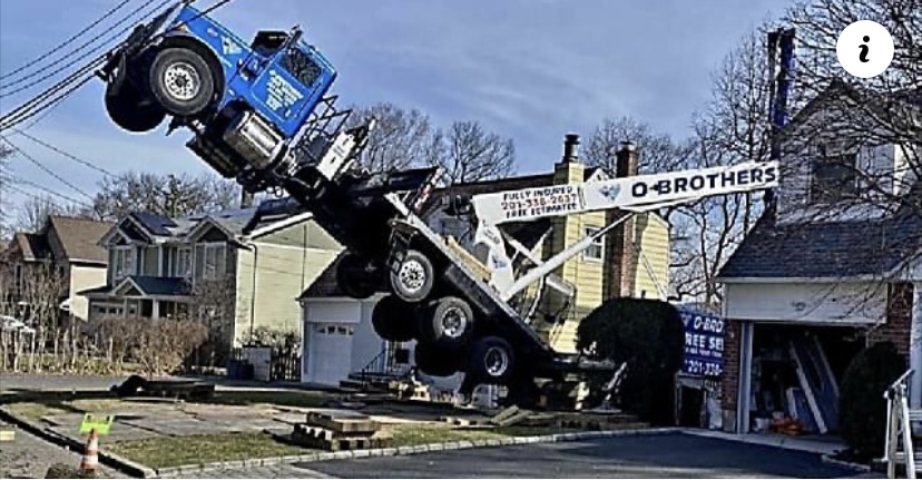 Crane Suspended in&nbsp;Mid-Air