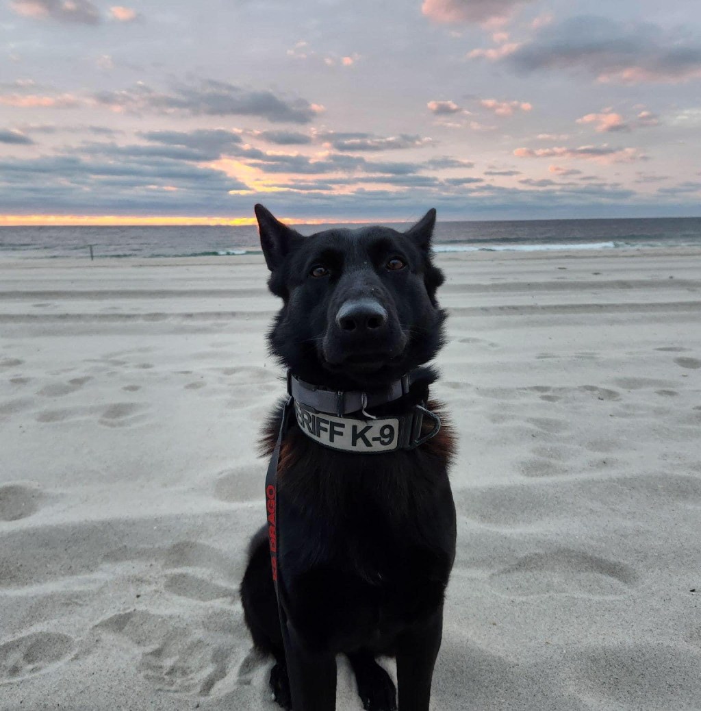 Come Out And Support The Polar Bear Plunge&nbsp;Today