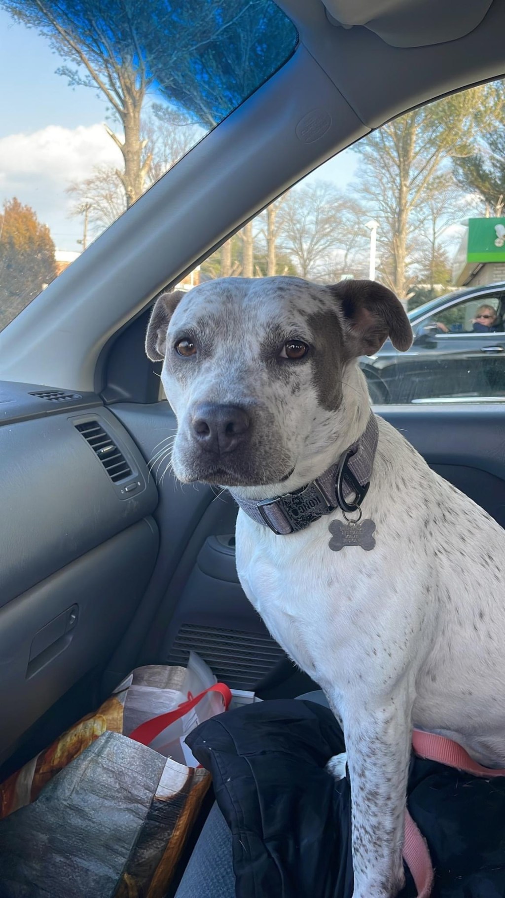 Missing Dog Manasquan Wall&nbsp;Area