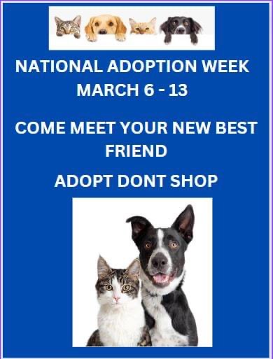 It’s Pet Adoption Week – Visit Your Local Animal&nbsp;Shelter