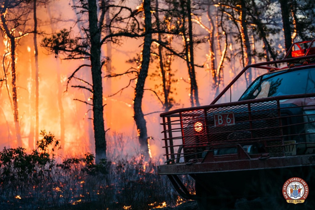 Forest Fire Service Responding to&nbsp;Lakewood