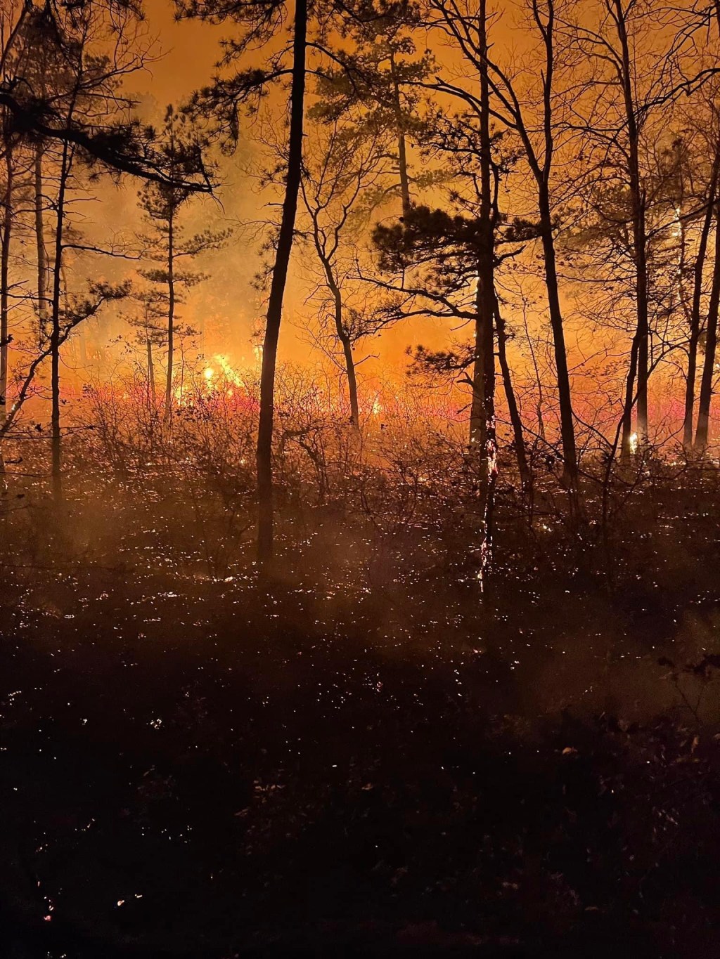 Update on Brush Fire in&nbsp;Manchester