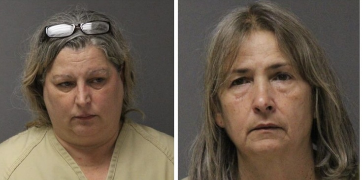 Brick Animal Hoarders Release Their Rights to Their Personal Dogs and are Offered a Plea that Includes Jail&nbsp;Time