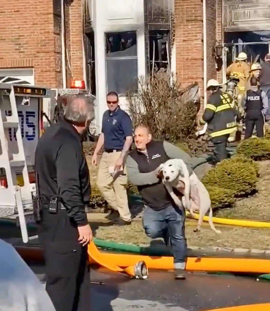 Incredible Video Shows Dog Being Rescued From Fire in Little Egg&nbsp;Harbor