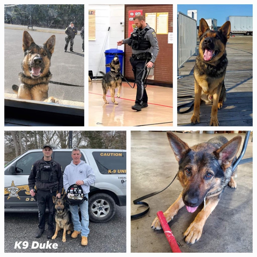 Happy 5th Birthday to K9 Officer&nbsp;Duke