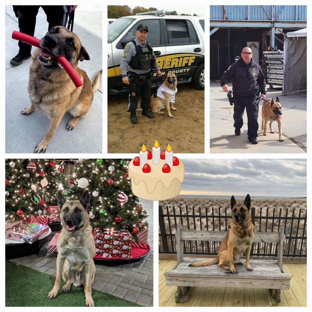 Happy Birthday to Ocean County Sheriff’s K9 Officer&nbsp;Jax