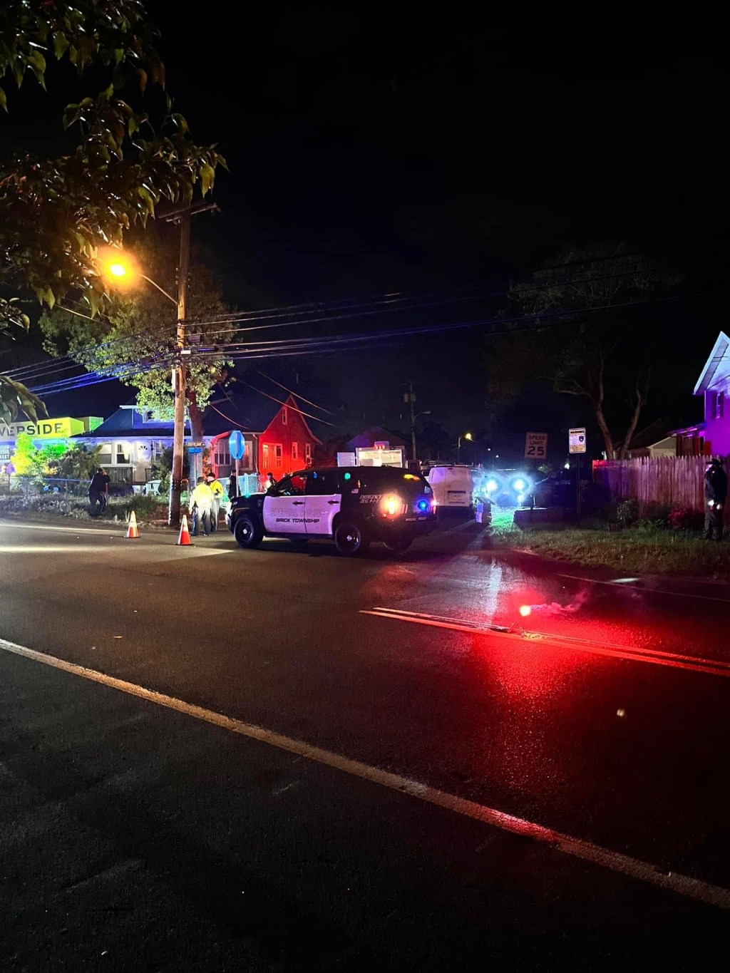 83 Cats Removed from Brick Residence&nbsp;Overnight