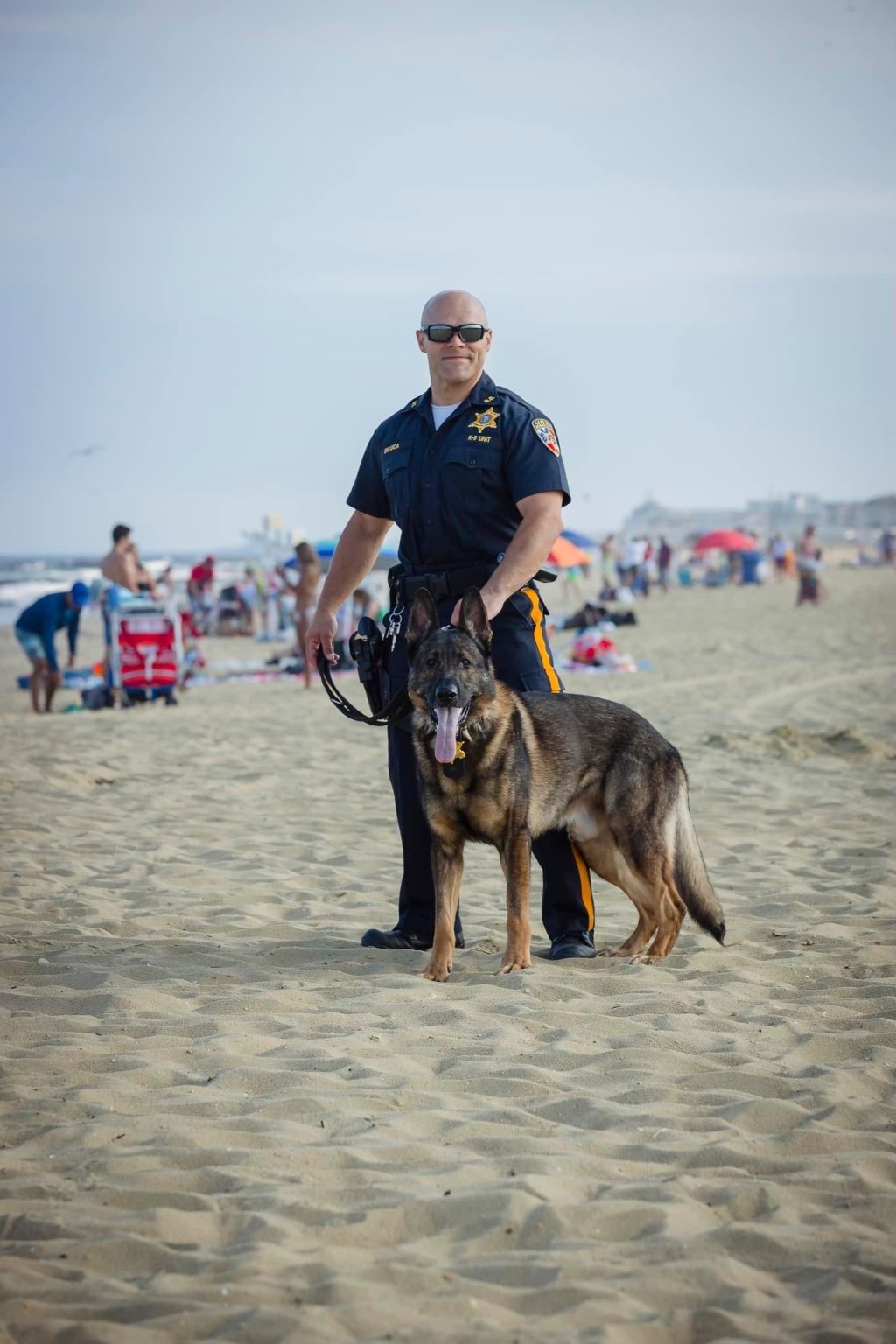 Sheriffs Department Mourning Loss of K9&nbsp;Leo